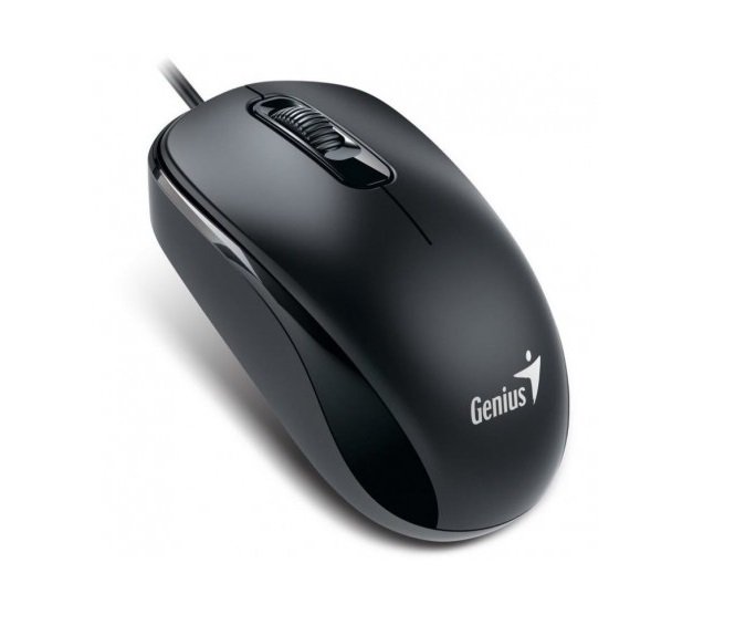 Mouse Genius DX-110 PS2 Negro